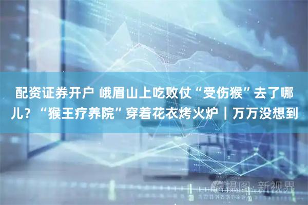 配资证券开户 峨眉山上吃败仗“受伤猴”去了哪儿？“猴王疗养院”穿着花衣烤火炉｜万万没想到